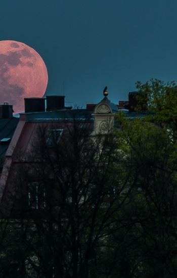 lichtbildschau.de - astronomiefotografie