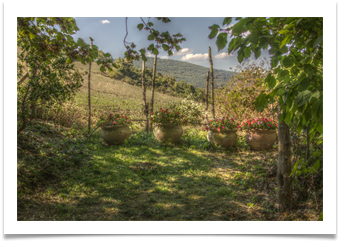 pieve torina HDR