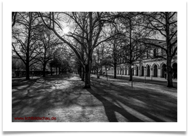hofgarten (1338)