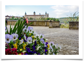 wuerzburg